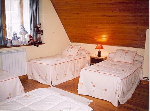 Casa Aranesa * Arties